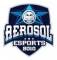 AEROSOL eSports