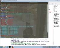 [D] vs eMOR